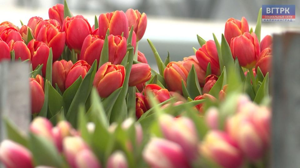 � ������ ������� �� ��������������� ������� � ������ ������� ������ ��������� ����� 300 ����� ���������