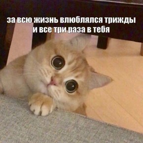 � ������ ������� ��������� ����� ����������, ��� �������