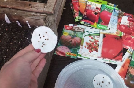 ��������� ����� ��� ������ ������� �� �������