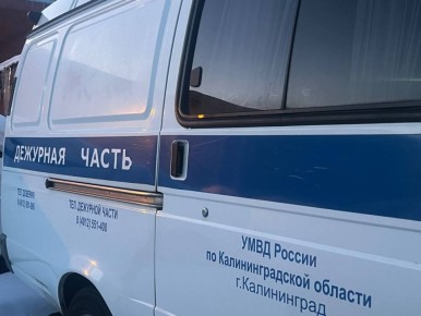 � ��������������� ����������� ��������� ����������, ������������� ������� ����������� ������