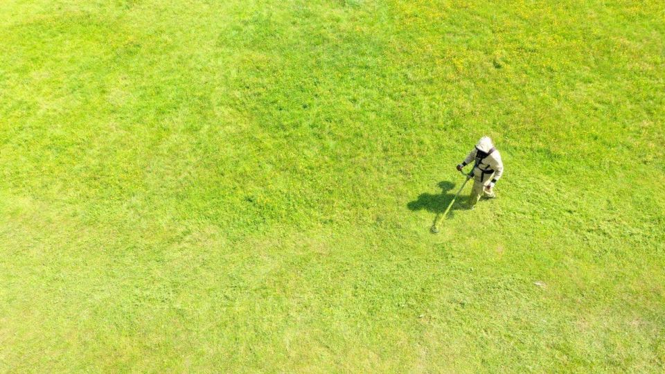 ����� �������: ����������� ��� �������� � ������� ���������������, 19 ������� 2026 ���� ������ ��������� ��������� �������� �� ���