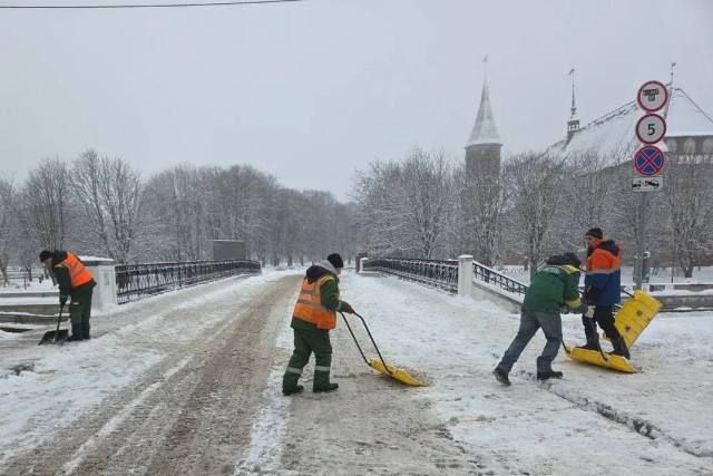 � ������ ���� ������������ ����� ��������� ��������� ������������� 557 ������� � ���������