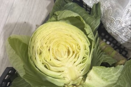 � �������������� ������ ��� � ����� ������� ������ ������ ������� ����� �������