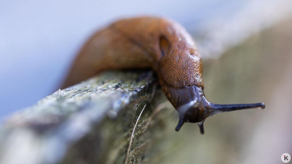 ���� ��� ������� � ���������� �����: ��������� ������ ����� ����� ��������� ���������