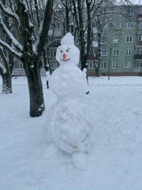 ���� ������������... ���� ���������� �������� ��������������� ����������