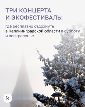 14 ������� ����� ������������� ���� ������������, ��������� ���� ���� ��� ���� ������������