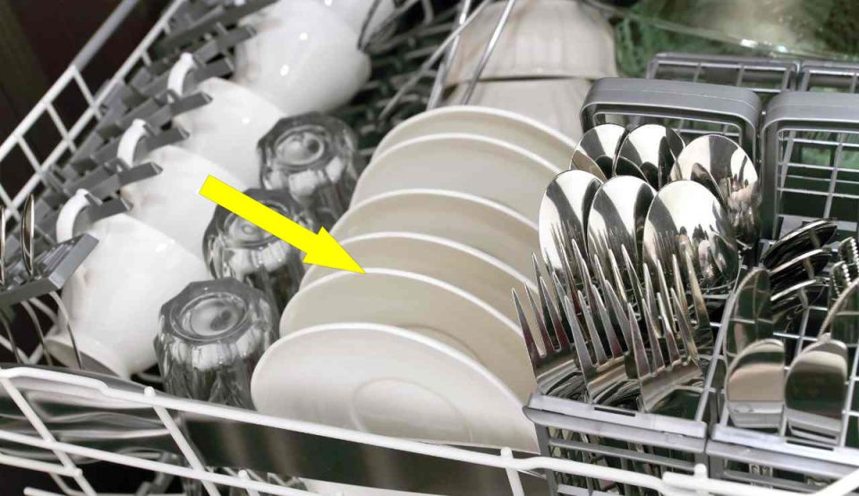 ��� �� ����� �������� �����������: �������� � ������ ����