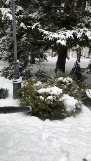 � ������ ������������ ������ �������� ����������� �������