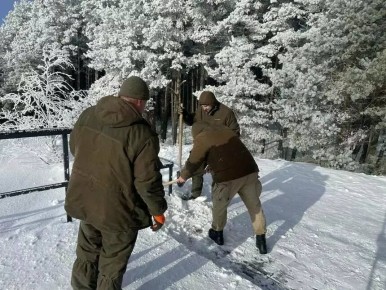 Калининградцев и туристов попросили не ездить на Куршскую косу в ближайшие дни