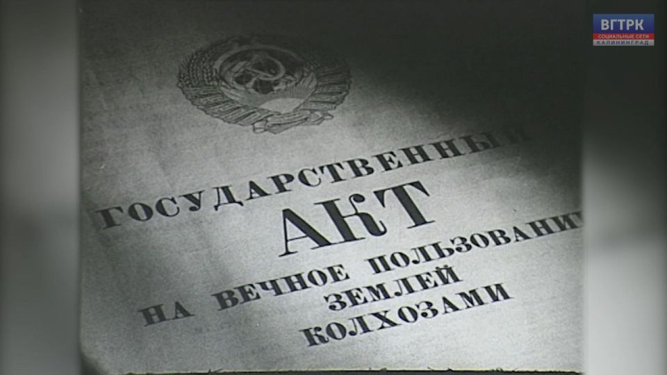 �������, ����������� 80-����� ��������������� �������, ��� �� ������������ � ������ �������� � �����, ������� ������ ����� � �������� �������