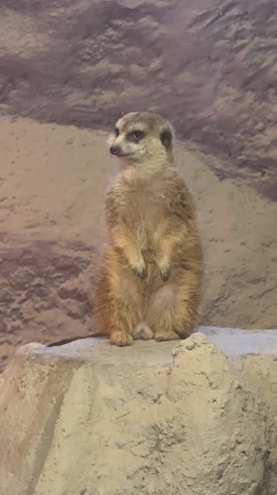 Когда высматриваешь коллегу, чтобы позвать пить кофе