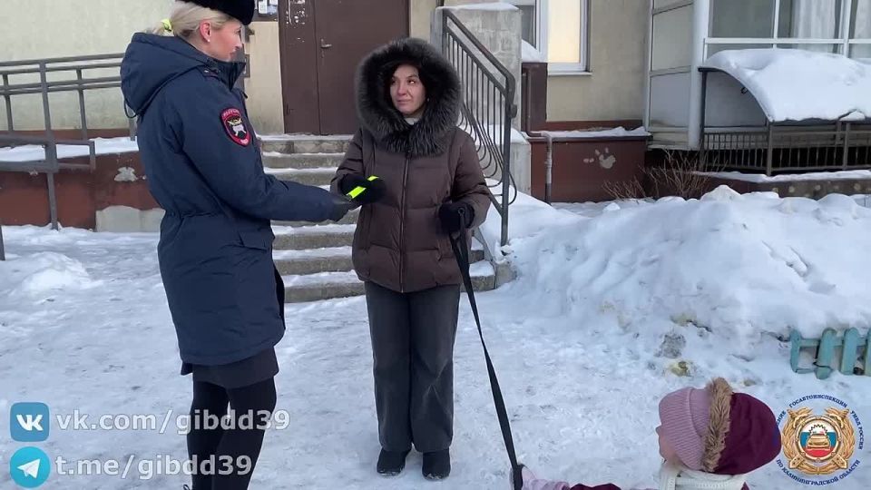 В Калининграде в рамках специального профилактического мероприятия «Внимание - Дети!» сотрудники Центра ДиТН ПБДД ГИБДД провели на придомовых территориях профилактическое мероприятие «Зима без опасности!»