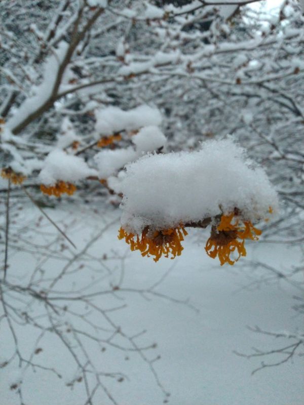 ���������� ����������. �������� �� ��������, ������� ���������� ��� ������ � ���� �������, � ������������ ���� ������ ��������� ����