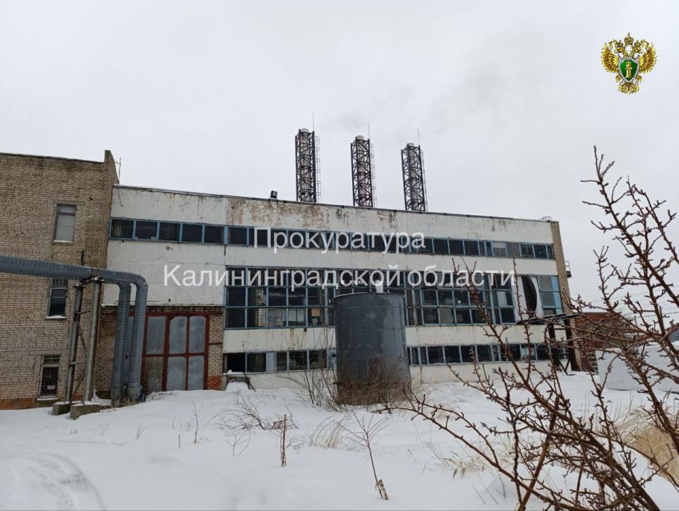 ����������� ��������������� ������ ������������ ���������� ����������� ������ � �����������