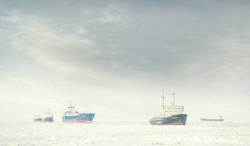 ����������� �� 11 ������-������������� ��������� ������������ �������� ����� � ������� ����� �� �������