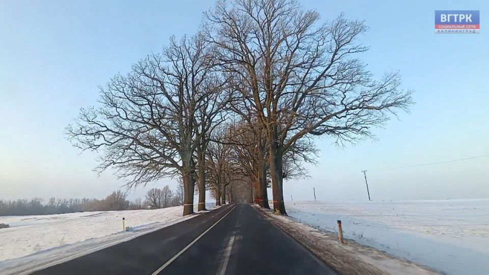 � ������������ ������ ������ ���������� �� ������ ��������� ��� ������� ������������� ����� �� ���������� ��������� ������� ����� 1915 ����