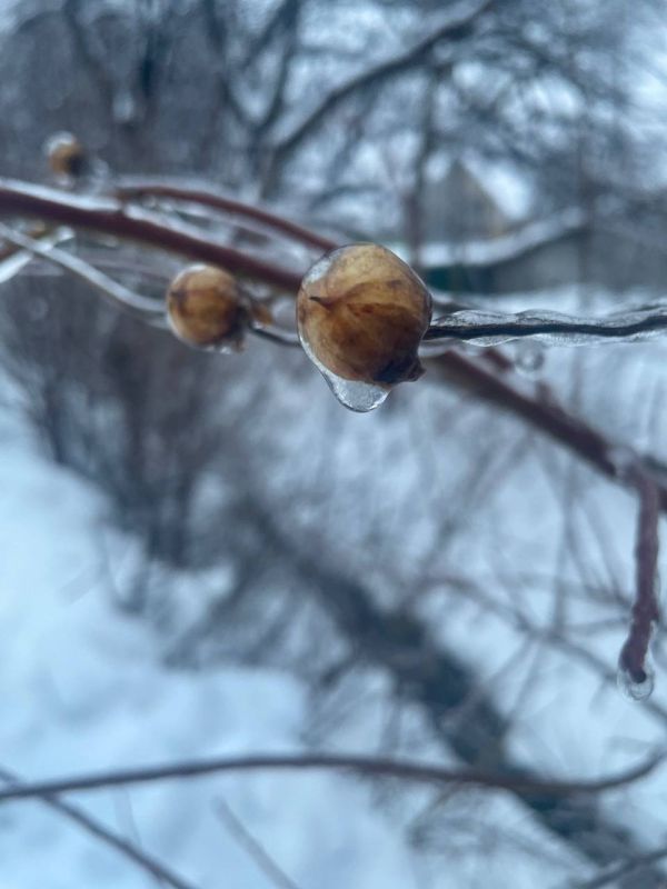 ������� ����� ������ ����� �������� ������� ��������