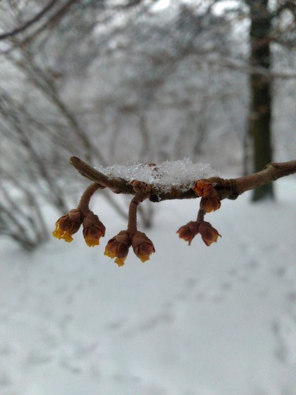 ���������� ����������. �������� �� ��������, ������� ���������� ��� ������ � ���� �������, � ������������ ���� ������ ��������� ����