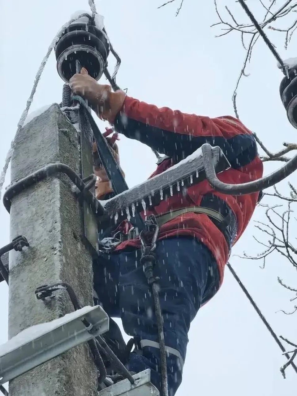 В Калининградской области без света остались почти 7 тысяч жителей – Беспрозванных