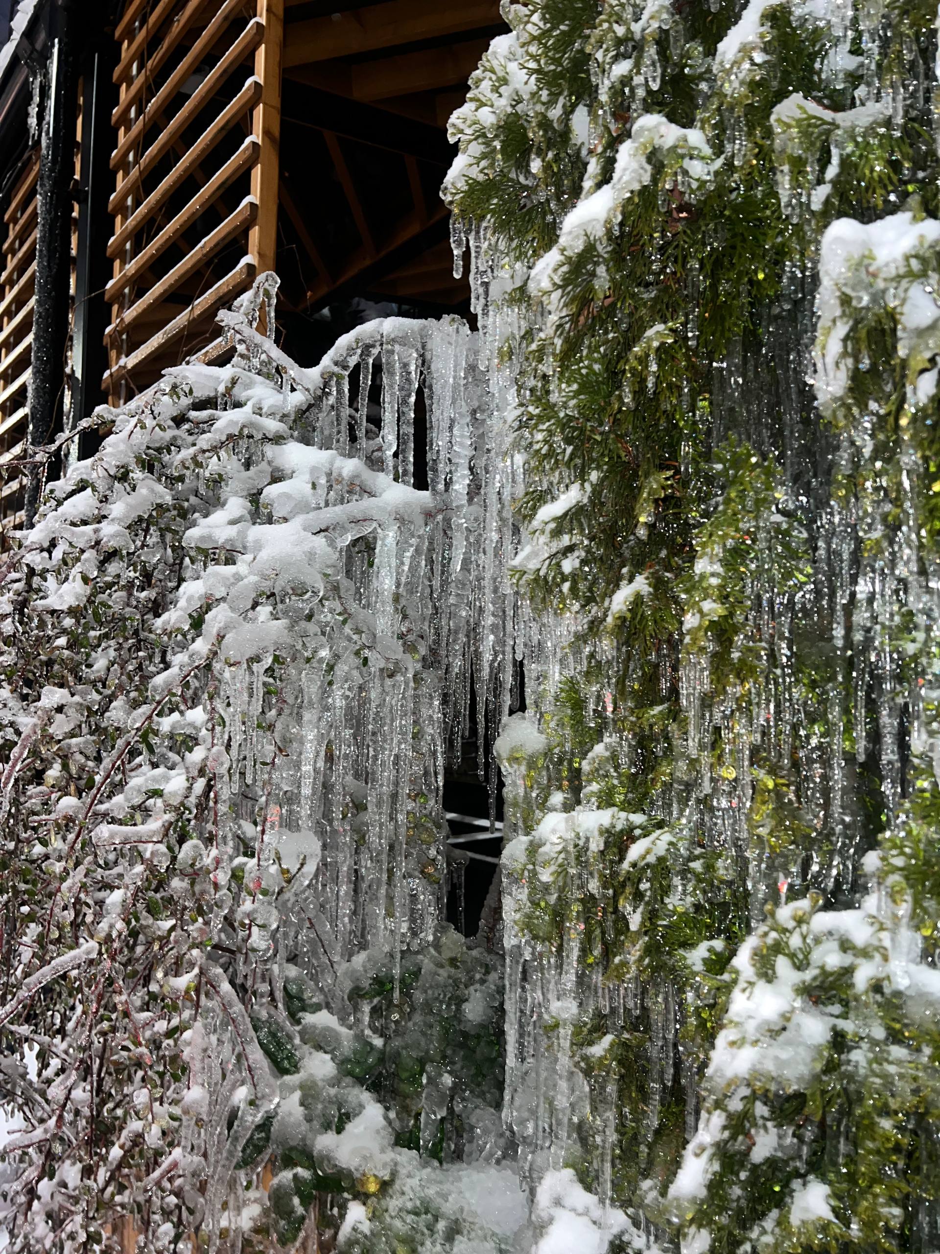 Пусть эти чудесные фотографии обледеневших деревьев скрасят холодные зимние выходные Пусть эти чудесные фотографии обледеневших деревьев скрасят холодные зимние выходные
