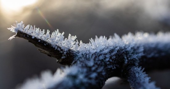 ����� �� -23�� � ����� ����: ������ �� ����������� � ��������������� �������