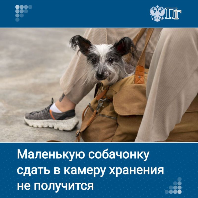 ������������� ���������� ����������� ������������ ������� �������� ������ ����� ��������� ��� �������������� ���� ���������������� ������� ���������