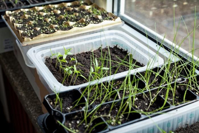 ��� ������ ���������� ����� � ������ �� �����������: �������� ������