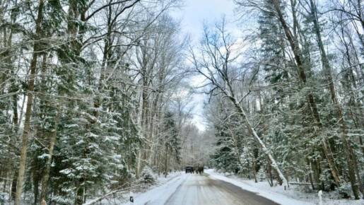 �������� � ��������� ���������� ������� � ���������������� ����