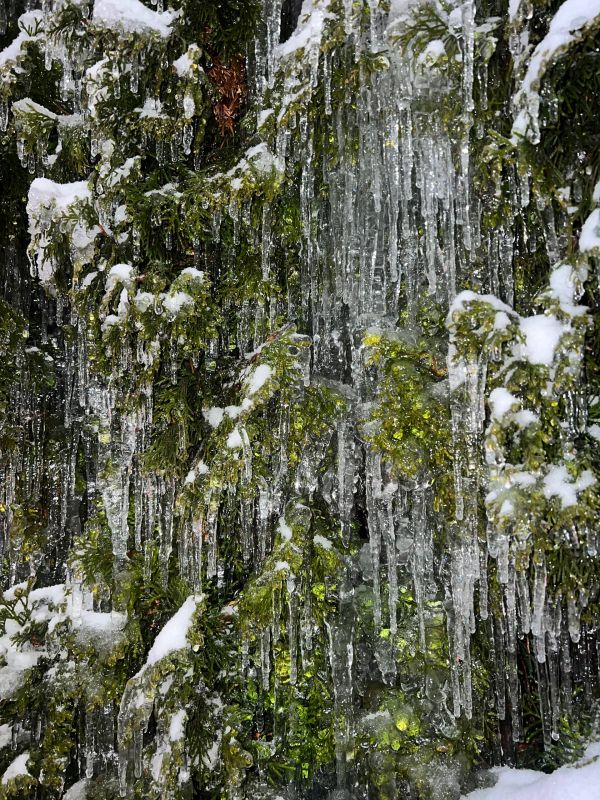 ����� ��� �������� ���������� ������������ �������� ������� �������� ������ ��������