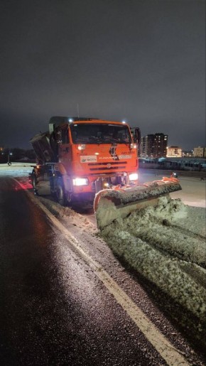 ����� �������: ����� 50 ������ ��������� �������, ���� � ������������, � 551 ��������� ��������� ������������� � ������ ������