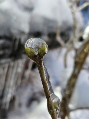 ����������� ����� �������� � ��������� ���� ����� ���������� ��������