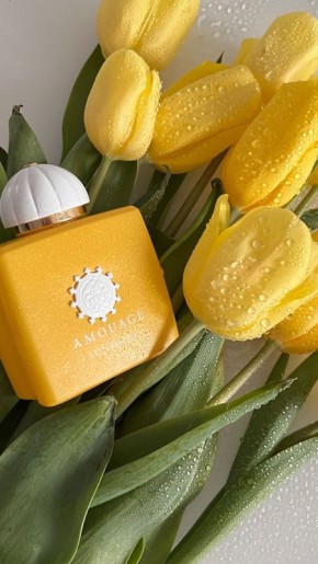 �������� �������, ������� ���������� ������ � ������ ������