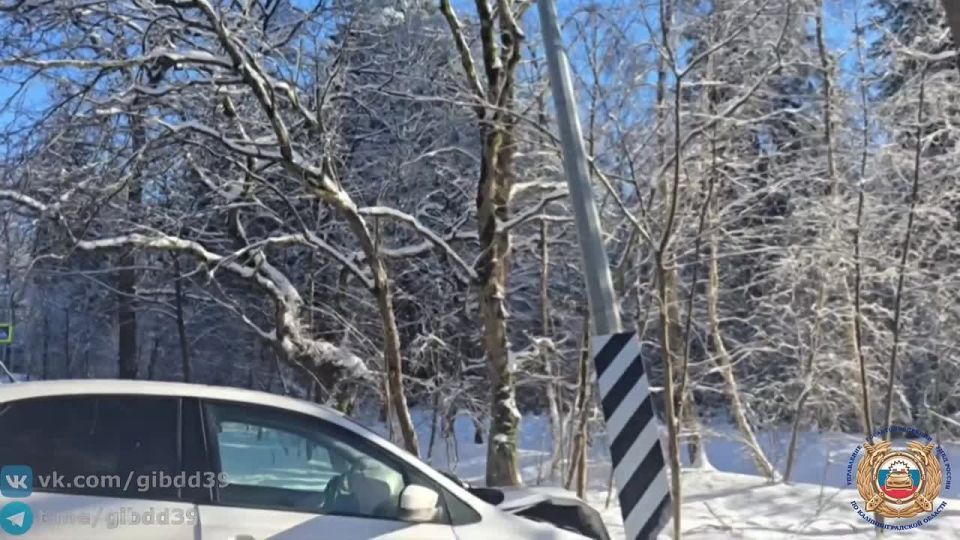 �� ��������������� ������, 15.02.2026 � 12 ����� 40 ����� �� 16 �� ���������� ������������ - �������� �������� (1991 ���� ��������), �������� ����������� �������������, �� ��������� � ����������� ������������� �������� �...