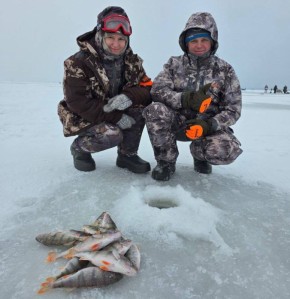 ������� ������������� ��������� ������������ � ������ �������