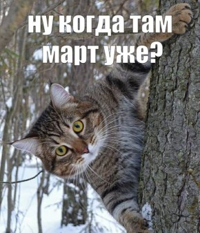 От –25 к мягкому минусу: какая погода ждёт регион на неделе