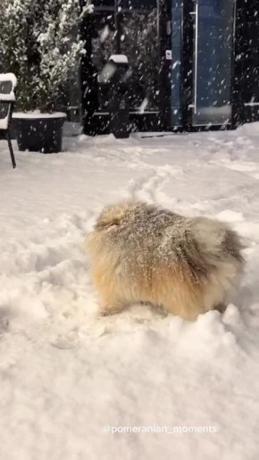 ����� ��� �������� ��� ����� ��� ��� ����