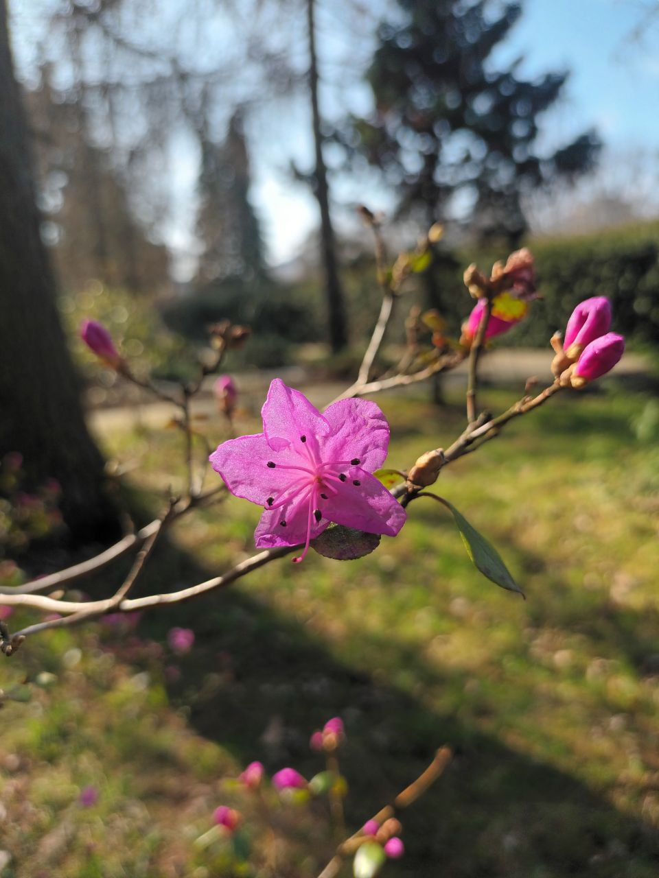 Когда уже потеплеет? Сами не знаем, у синоптиков тоже нет чётких прогнозов Когда уже потеплеет? Сами не знаем, у синоптиков тоже нет чётких прогнозов