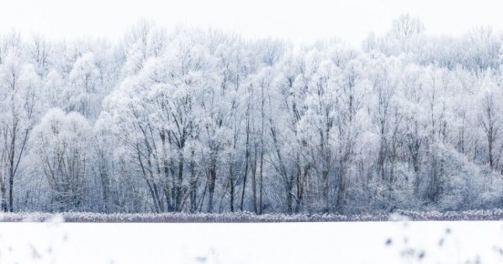 Неприятный юго-восточный ветер и привычный мороз: калининградцам рассказали о погоде в регионе 16 февраля