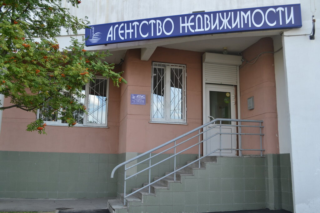 Как женщина вернула 50 тысяч у риелторов: история про кота, договор и решимость