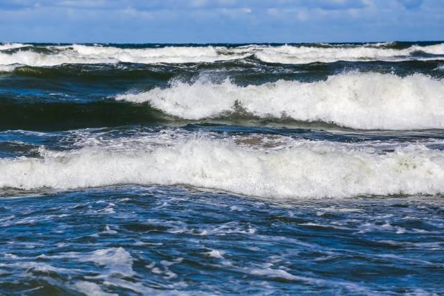 Калининградские компании освоили менее половины квоты на треску в Балтийском море в 2025 году