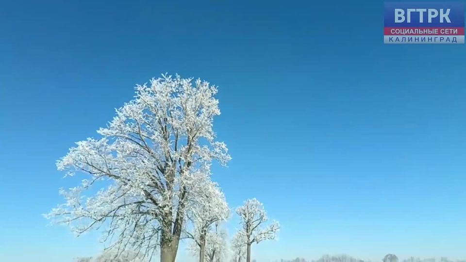 ����. �������� �����