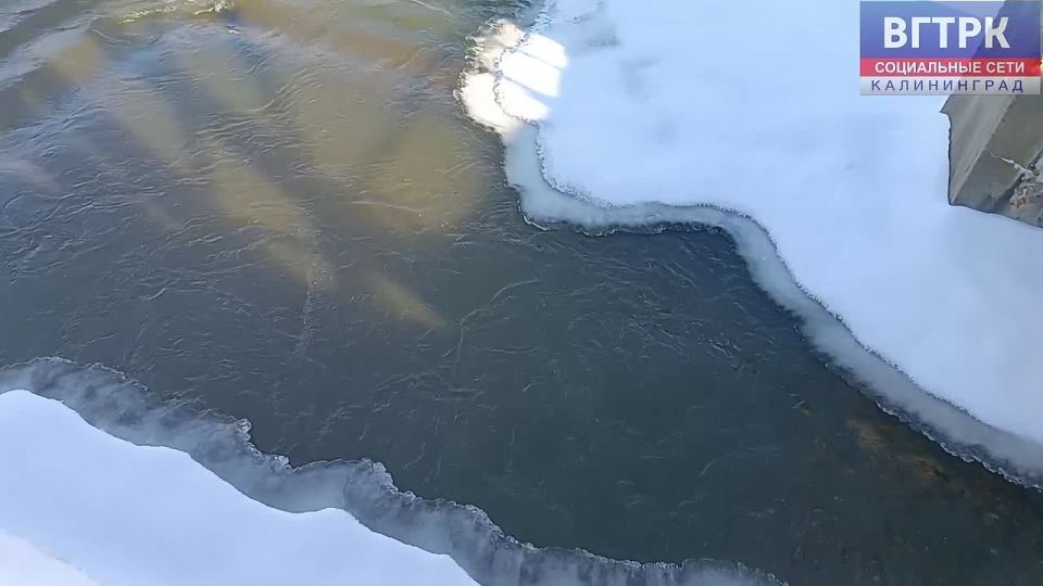 ���������������� ���������� �� ���� ������� � ������