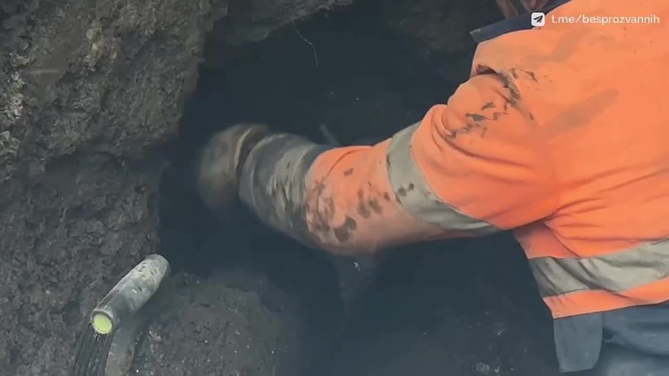 ������ ������� ������� ��� ���������� ����������� �� 131 ��� ������