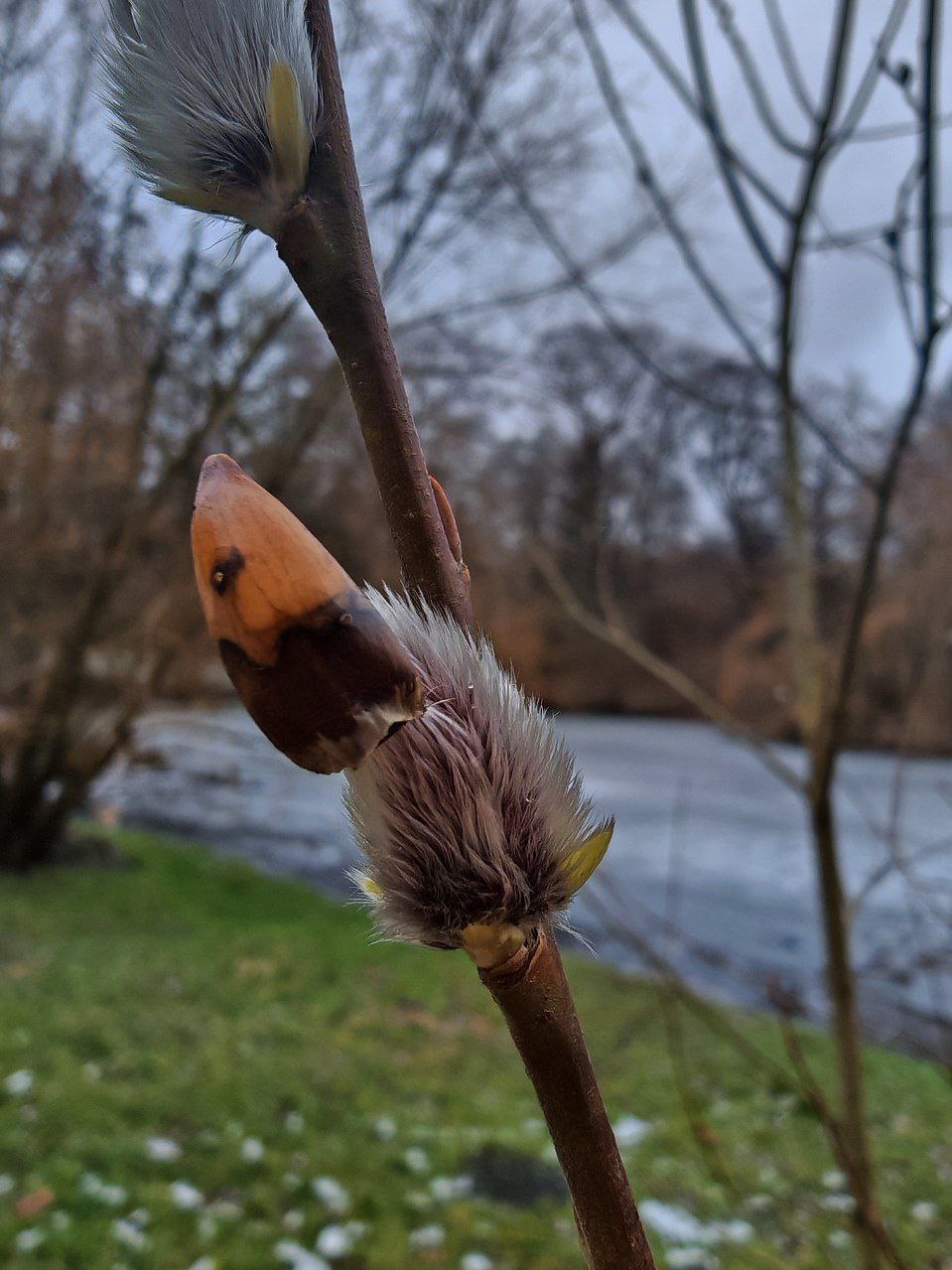Когда уже потеплеет? Сами не знаем, у синоптиков тоже нет чётких прогнозов