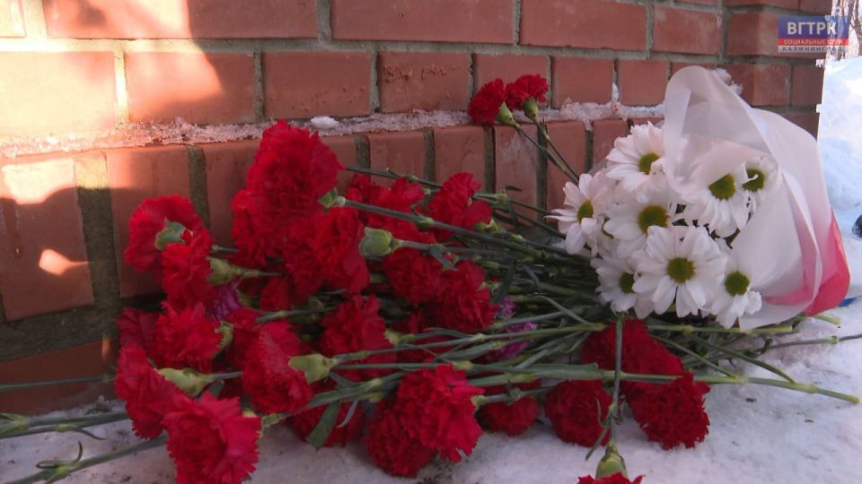 � ��������������� ������� �������� �������� �����������, ����������� ����������� �������� � ���������� ��������-�������� ��������