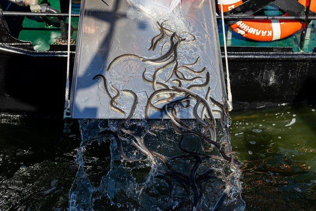 ��������� �� �����������: � ��������������� ������� ������� �������� ���� ��� �� ������� �����