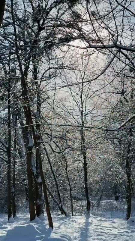 � � �������: �������� �������� � ������������ � ����� ������, ���� �� +7�C � ���������