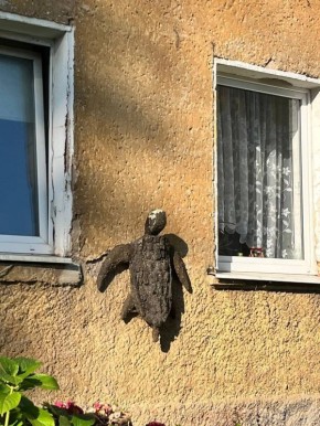 �� ������ ���� �� ��������� ���� �� ����� ���������� � ������� ����� ��������