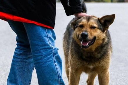 � ���� ������� �������� ���� ��������� ���������� �������