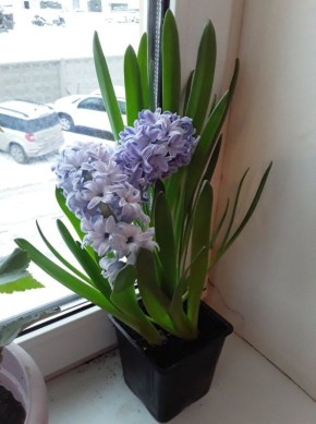 ��� ����������� �������� � ������ ����������: ��� �� �����